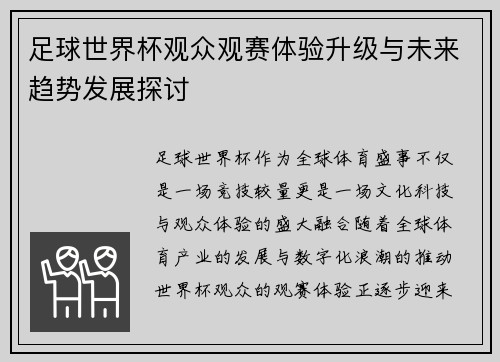 足球世界杯观众观赛体验升级与未来趋势发展探讨