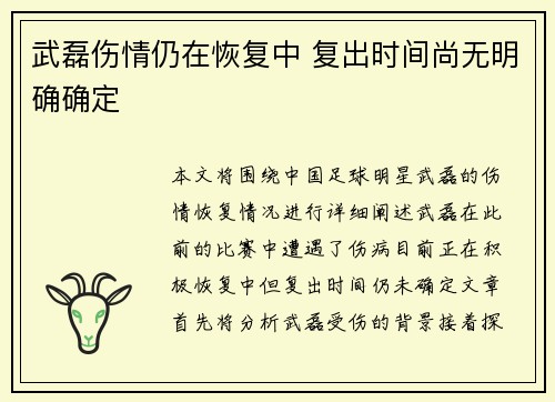 武磊伤情仍在恢复中 复出时间尚无明确确定